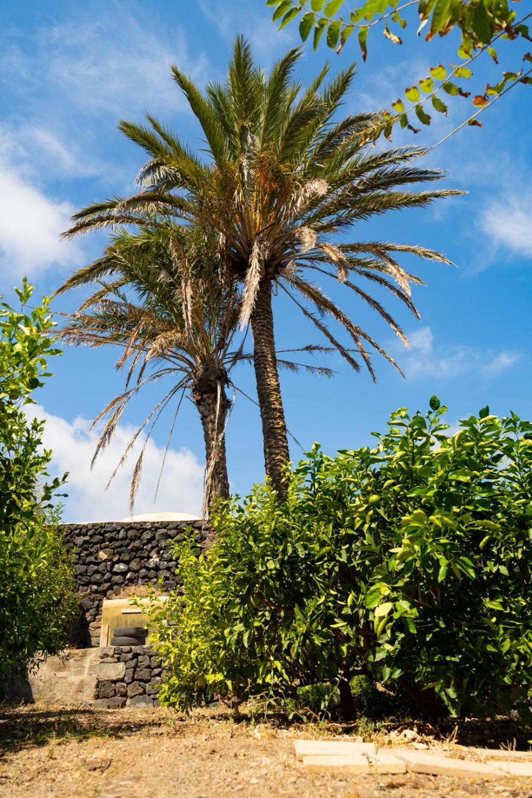 Casa Unifamiliare A Sicilia Villa Kamma Dış mekan fotoğraf