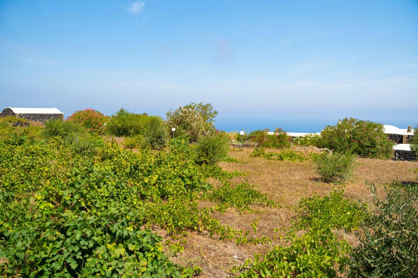 Casa Unifamiliare A Sicilia Villa Kamma Dış mekan fotoğraf